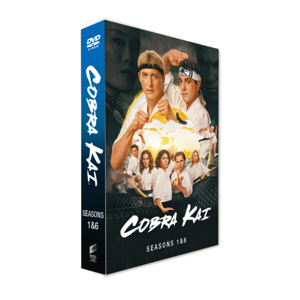 Cobra Kai seasons 1-6(14DVD)