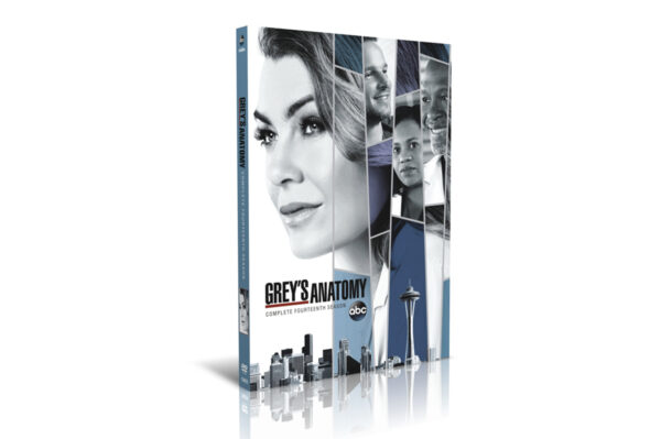 Grey's Anatomy Season 14 5DVD
