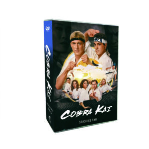 Cobra Kai seasons 1-6（6 PART 1 2 3） 14 DVD