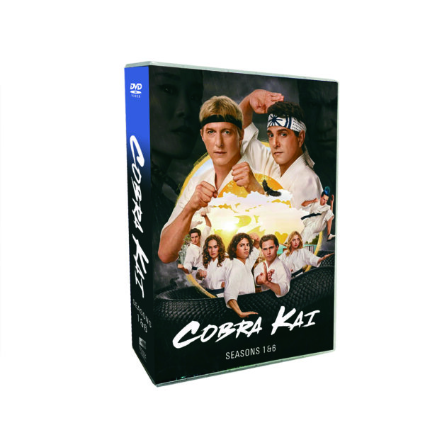 Cobra Kai seasons 1-6（6 PART 1 2 3） 14 DVD
